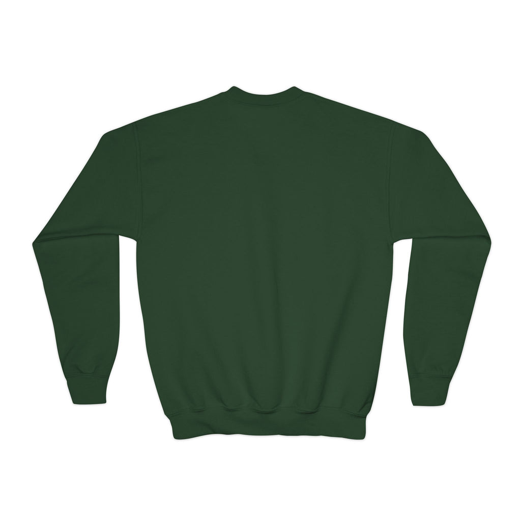 Youth Sweatshirt — 'Tiny Druid: Wild Magic in Training' Cute Fantasy Crewneck
