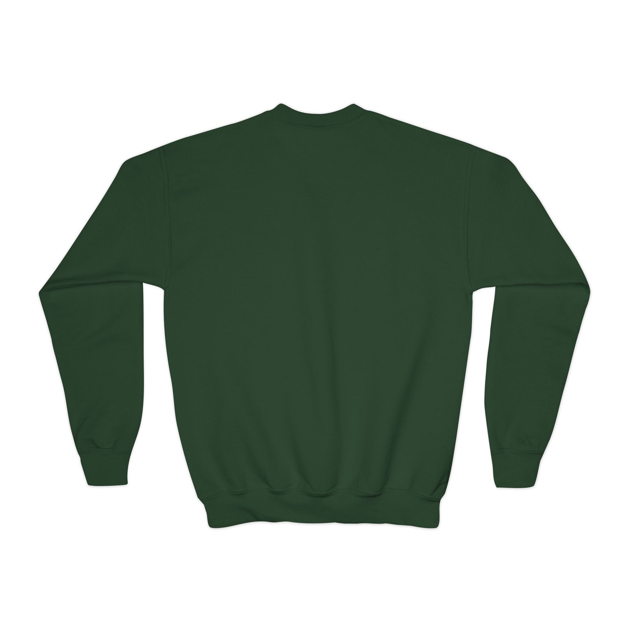 Youth Sweatshirt — 'Tiny Druid: Wild Magic in Training' Cute Fantasy Crewneck